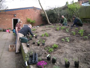 Planting perennials Planting perennials