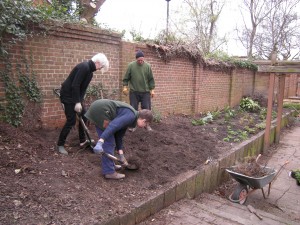 Preparing the shady border for more planting Preparing the shady border for more planting