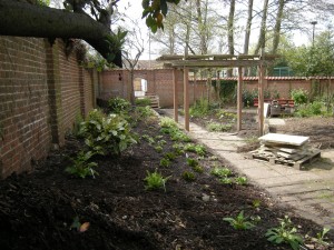 Shady border, looking west