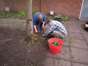 Weeding the centre of the garden