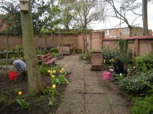 Weeding the centre and western border