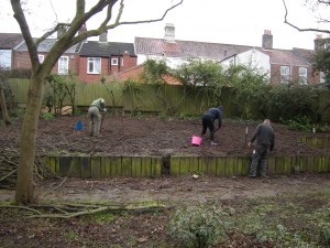 Weeding the west-facing border Weeding the west-facing border