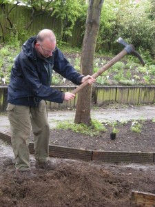 Using a mattock to remove roots