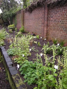 Shade Border
